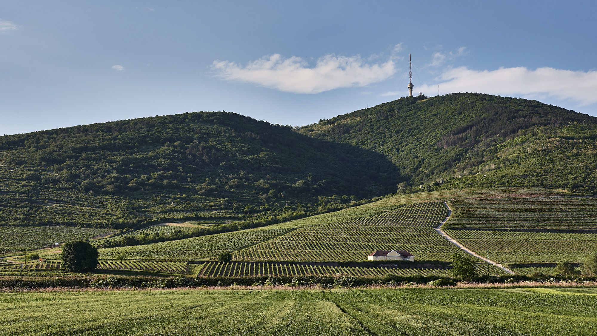 Tokaj